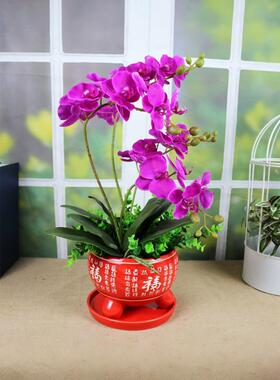 模拟花蝴蝶兰套装红色陶瓷花盆室内客厅丝绸插花婚礼新房装饰花艺