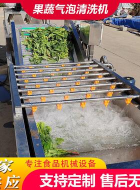 商用果蔬气泡清洗机鲜花生去泥沙气泡清洗机小葱去泥清洗风干线