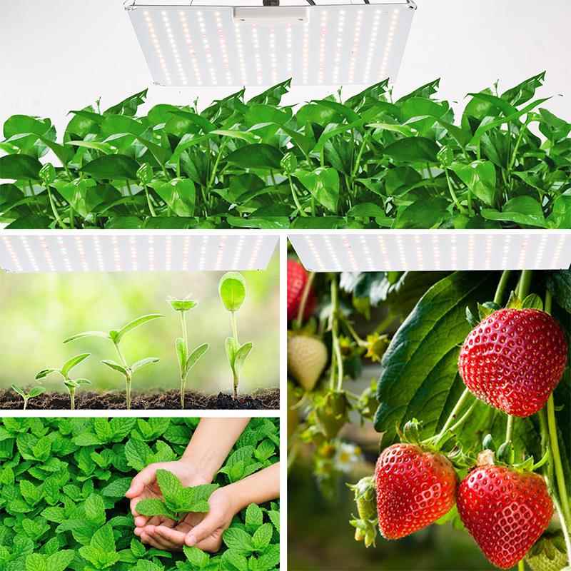 升级量子板调光变光LED植物灯生长灯温室大棚蔬果花卉室内补光灯 - 图2