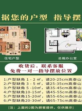 保真泰山石敢当不切底原石靠山石镇宅补角办公室摆件不切割泰山石