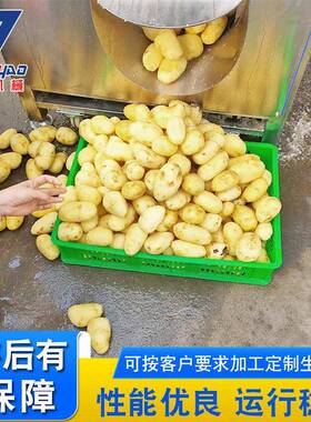 大型毛棍清洗机 扇贝多功能清洗机 新款毛刷去皮清洗机 厂家供应