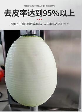 针插式果蔬削皮机不锈钢全自动瓜果脱皮机单头刨皮机冬瓜去皮机