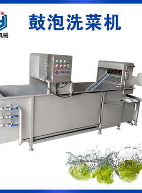 800kg/H多功能不锈钢鼓泡洗菜机气泡果蔬清洗机去农残清洗设备