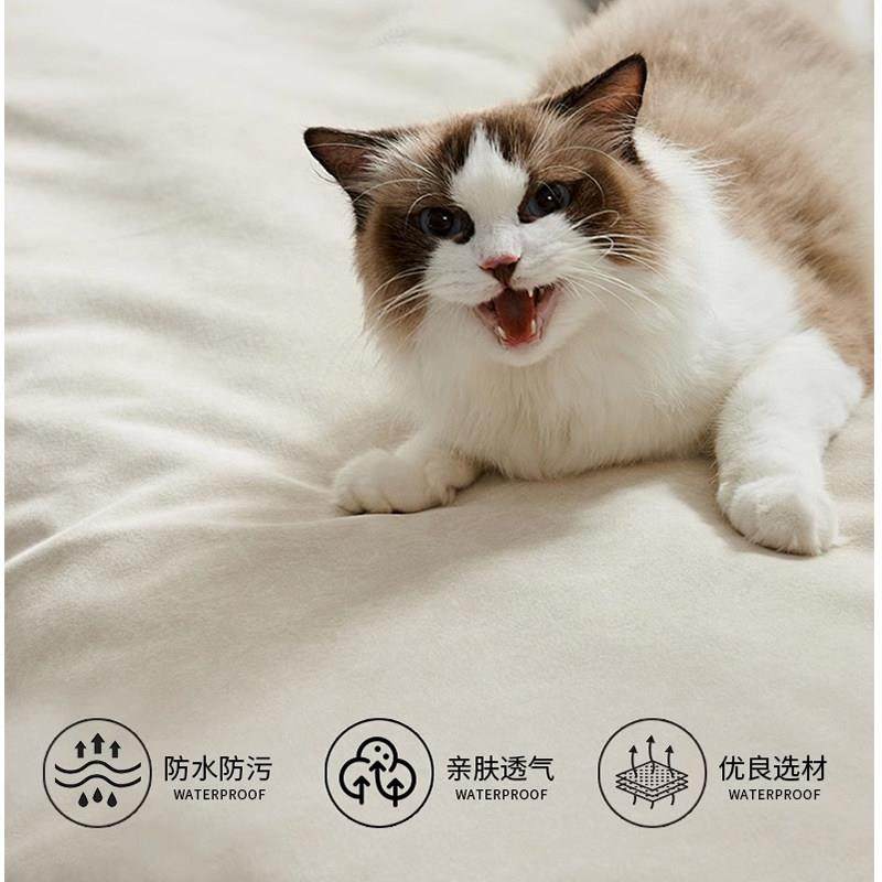 电动多功能布艺沙发床猫抓磨砂布小户型奶油风可伸缩家用直排沙发,淘宝优惠券,粉丝福利购,淘宝优惠卷