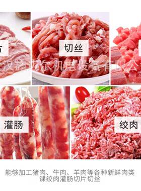 正元绞肉机ZY-2/ZY-5电动多功能12/22型两用碎肉机切肉机绞肉机机