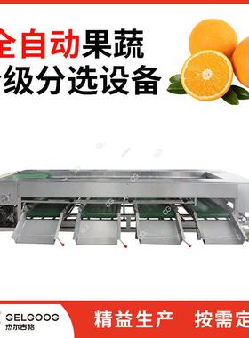 脐橙分级清洗机械 洗果选果生产线设备 水果自动洗果流水线机器