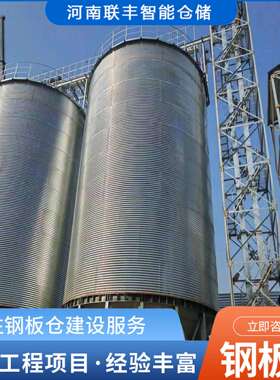 联丰仓储 大型粮食储存设备 支持通风测温 平底锥底钢板仓