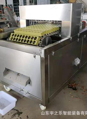 全自动橄榄去核机红枣水果去核机橄榄鲜干果去核深加工设备