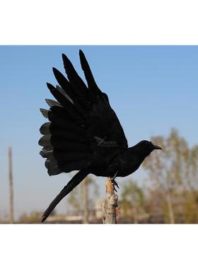 仿真羽毛展翅黑乌鸦橱窗装饰园林家居摆件摄影道具教学道具乌鸦