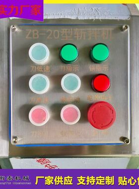 商用设肉类斩拌速机鱼腐鱼糜切碎斩切备香肠肉肠HT-BX40变频不锈