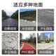 Yangzi s13 ຂັບເຄື່ອນໃນໂຮງງານ sweeper ໂຮງງານຜະລິດສາງຊຸມຊົນສຸຂາພິບານໄຟຟ້າສູນຍາກາດ sweeper ຖະຫນົນຫົນທາງ