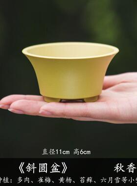多肉花盆掌中宝菖蒲盆植物小桩微型盆栽盆景圆形加厚树脂花盆