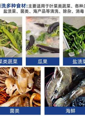 商用气泡洗菜机果蔬清洗机全自动洗菜机食品厂水果蔬菜臭氧清洗机