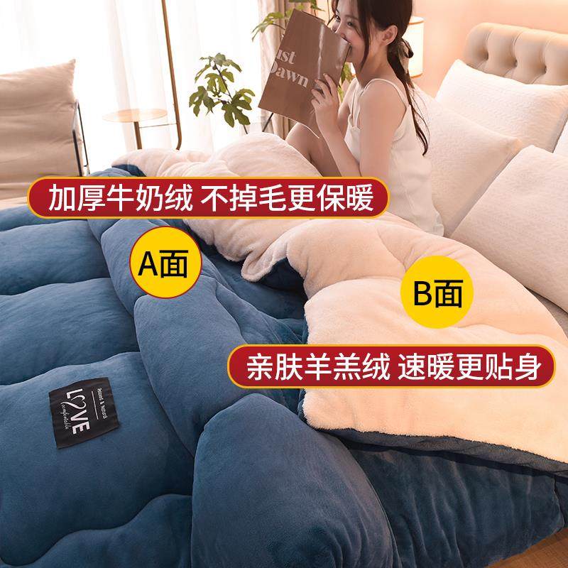 羊羔绒被子2025新款冬季棉被被芯冬天宿舍单人学生秋冬被加厚保暖,淘宝优惠券,粉丝福利购,淘宝优惠卷