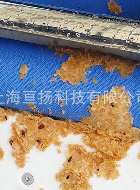 厂家供应小型带式鲜果汁榨汁机商用苹果压榨机水果蔬菜榨汁机组