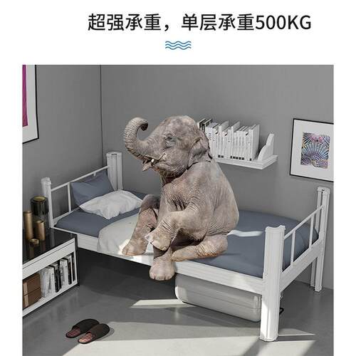成都型材单层床员工宿舍床铁质单人床公寓床钢木床架钢木床 - 图2