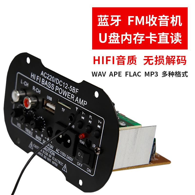 大功率功放板内置蓝牙低音炮音响音箱主板220V12V24V家庭车载适用 - 图2