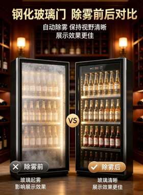 网红酒水柜商用冷藏柜双门立式冰柜风冷无霜展示柜酒店立式保鲜柜
