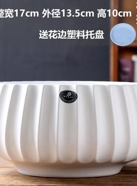 高颜值陶瓷花盆带托盘白色简约北欧ins风多肉花盆网红百搭家用盆
