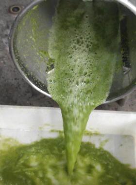 果蔬打浆机果蔬打浆机北京果蔬食品加工设备机械加工定制商用设备