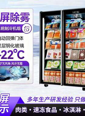 跨境商用冷冻展示柜急冻肉类榴莲雪糕超市立式冷柜双玻璃门冰柜