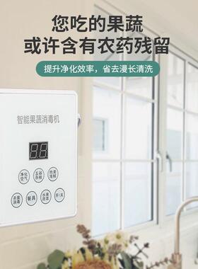 110v出口小家电果蔬消毒机家用水果杀菌清洗机食材净化器除农残