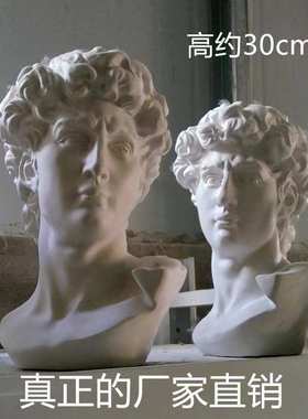 北欧大卫石膏像雕塑头像家庭玄关摆件美术画室素描写生轻奢创意