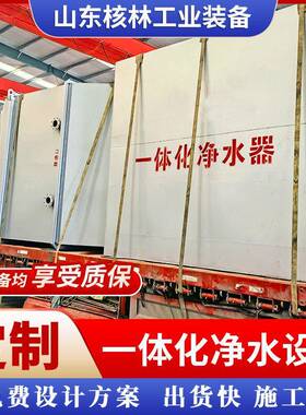 全自动一体化净水设备河水矿井水一体化处理装置农村生活净水器
