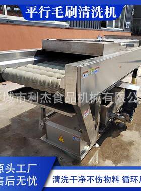 供应平行毛辊圣女果清洗机土豆加工清洗机芒果毛刷清洗设备厂家