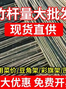 竹杆菜园搭架杆豆角黄瓜西红柿支架杆辣椒架子超硬植物爬藤旗竹杆