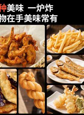 外贸油炸锅商用不锈钢电炸炉炸锅欧英美插跨境电炸锅摆摊厨房设备