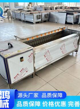 定制莲藕清洗机地瓜毛刷土豆马铃薯毛辊去皮设备食品级新品果蔬