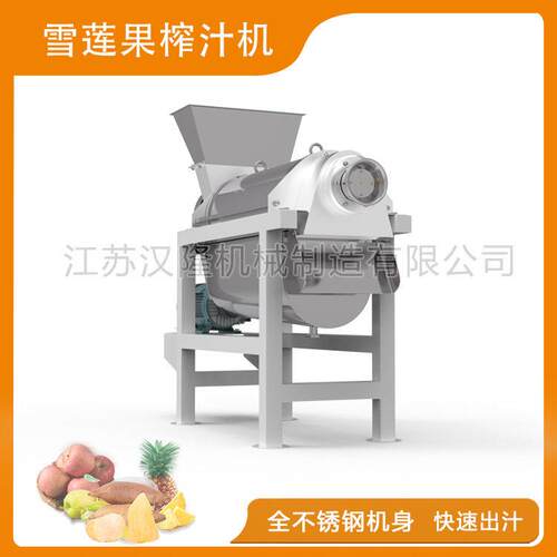 厂家销售LZ系列电动不锈钢小型商用雪莲果葡萄黄瓜荔枝螺旋榨汁机 - 图1