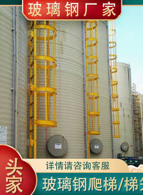 玻璃钢爬梯护笼建筑直梯护栏厂房检修梯基坑深井电力施工安全梯