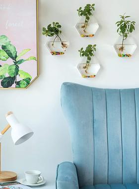 六角形壁挂玻璃花盆pc装饰摆件