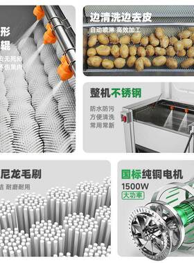 冠霆商用土豆去皮机全自动毛刷清洗生姜地瓜莲藕不锈钢削皮脱皮机