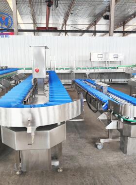 罗非鱼鲅鱼自动称重分拣机哈密瓜智能水果分选机食品重量分级机