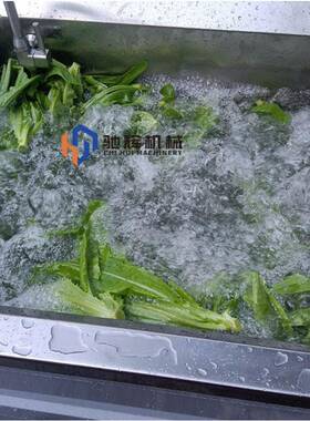 预制菜加工设备双缸电动洗菜机中央厨房小型果蔬清洗机洗葱机