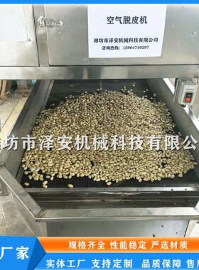 专业生产花生米脱皮机乳白花生米脱皮设备花生米红衣去皮机