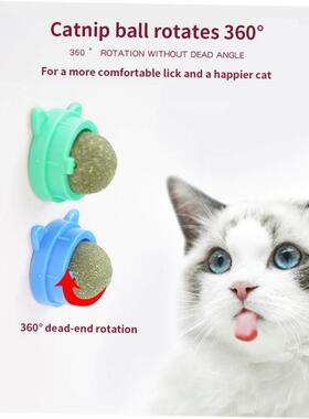 Catnip Wall Ball Cat Toys Pet Toys for Cats Clean Mouth Prom
