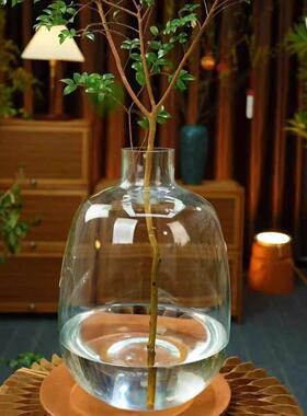 落地大花瓶简约网红高级感水培马醉木鲜花龟背南天竹玻璃水培花瓶