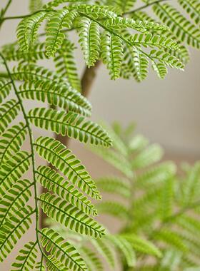 彷真绿色植物蓝色的花楹高端轻奢盆栽彷生植物室内客厅奶油风装饰