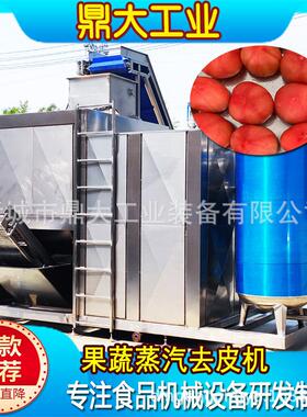 全自动西红柿蒸汽去皮机圣女果通用果蔬深加工连续式智能去皮设备