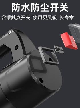 德国芝浦电动抽油泵12V24V正反转小型自吸泵柴油泵加油机设备神器