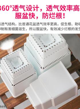 美莳控根高腰万象盆塑料加厚多肉十二卷带托花盆套装可自动存排水