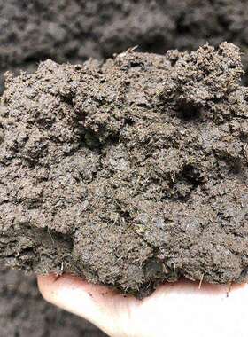 30%水份木皮鲜树叶粉碎机 树枝木块锯末机 菌类木屑破碎机