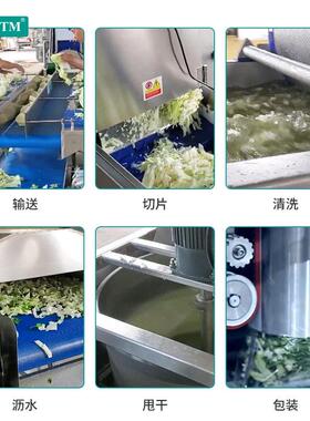 定制线根据需要中央房蔬菜清洗机甘净厨菜加工蓝清洗流水果蔬清洗