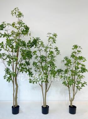 Mazuimu模拟绿色植物斯堪的纳维亚风挂钟彷生假绿色植物室内落地