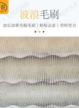 广东迈丁哥清洗去皮一体机猕猴桃去皮快速清洗清洗机