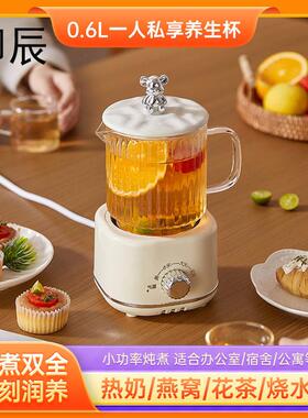 多功能养生电炖杯公室小型炖煮一体养生杯玻璃花果茶养生礼品杯